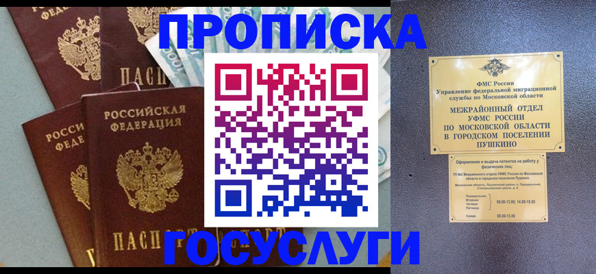 прописка гарантия в Стародубе